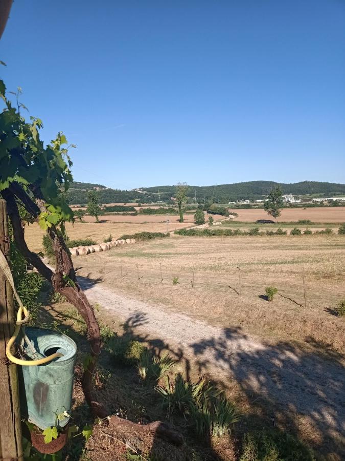 Agriturismo Podere La Selva Villa Serre Di Rapolano Екстериор снимка