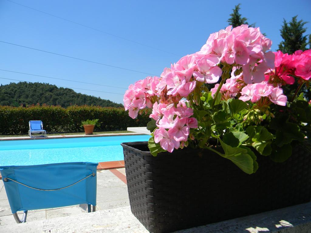 Agriturismo Podere La Selva Villa Serre Di Rapolano Екстериор снимка