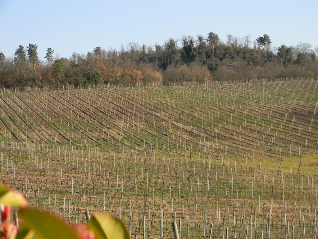 Agriturismo Podere La Selva Villa Serre Di Rapolano Екстериор снимка