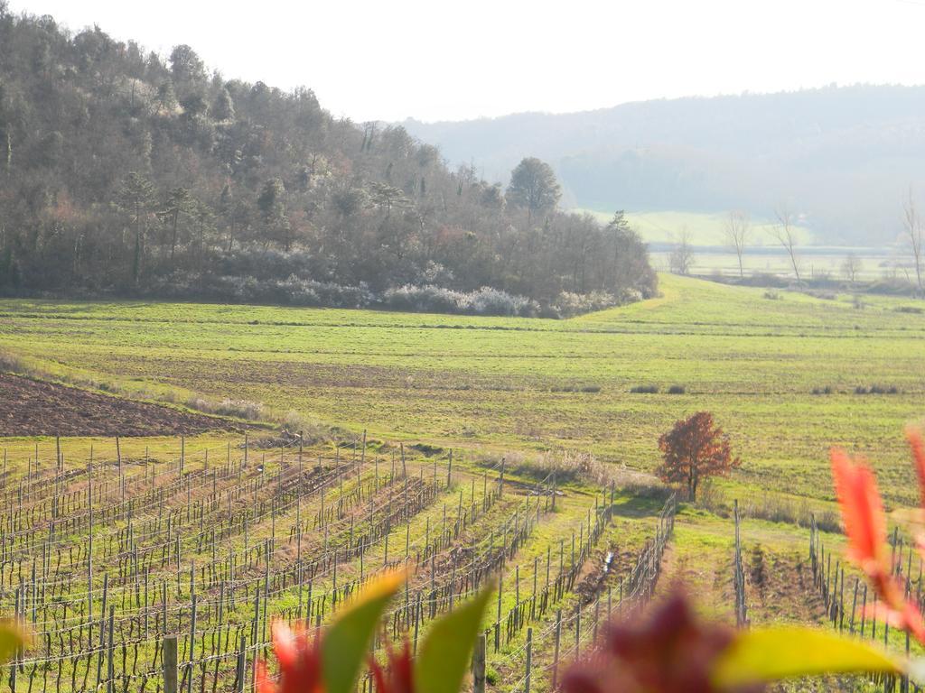 Agriturismo Podere La Selva Villa Serre Di Rapolano Екстериор снимка