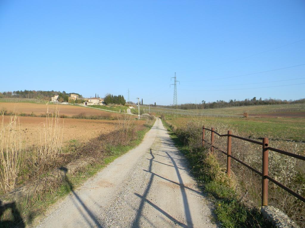 Agriturismo Podere La Selva Villa Serre Di Rapolano Екстериор снимка