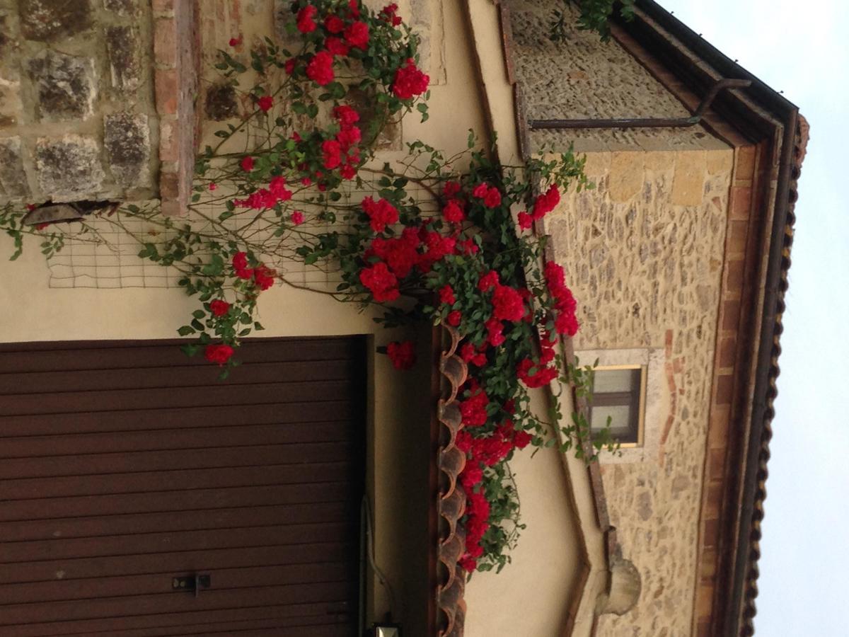 Agriturismo Podere La Selva Villa Serre Di Rapolano Екстериор снимка
